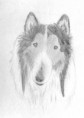 /album/sketch-au-stylo-ou-autre1/croquis5-jpg/