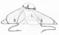 /album/fanart/roshinu-jpg/