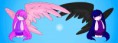 /album/divers/wings-jpg/
